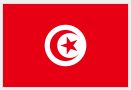 11.10.23 Tunisia_Elections-2011-2-hp